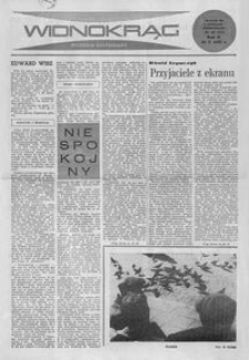 Widnokrąg : tygodnik kulturalny. 1962, R. 2, nr 43 (28 października)
