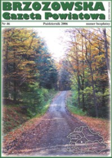 Brzozowska Gazeta Powiatowa. 2006, nr 46 (październik)