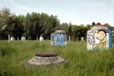 Bulwary nad Wisłokiem I - murale na betonach [Fotografia]