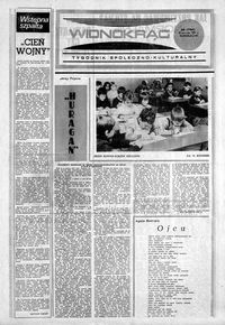 Widnokrąg : tygodnik społeczno-kulturalny. 1984, nr 35 (28 sierpnia)