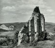 [Zagórz pow. sanocki. Fragment ruin klasztoru Karmelitów Bosych] [Fotografia]