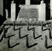 [Rzeszów. Pomnik Ofiar Terroru przy ul. Partyzantów] [Fotografia]