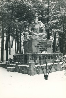 [Pogórska Wola pow. tarnowski. Pomnik rozstrzelanych przez hitlerowców w latach 1939-1945 nr 2] [Fotografia]