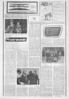 Widnokrąg : kultura, nauka, oświata. 1988, nr 45 (15 listopada)